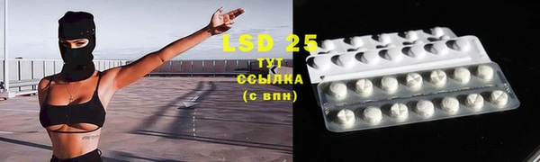 ешки Алексин