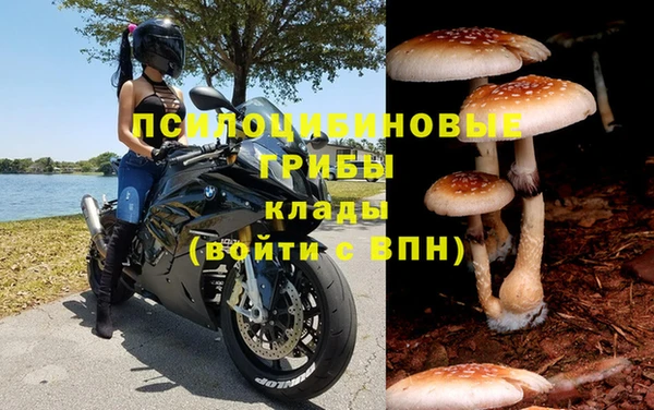 МДПВ Алексеевка