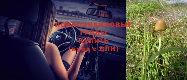 герыч Пестово